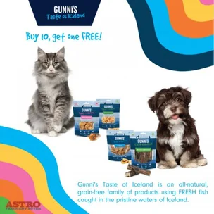 Gunni's | Cat Treat…